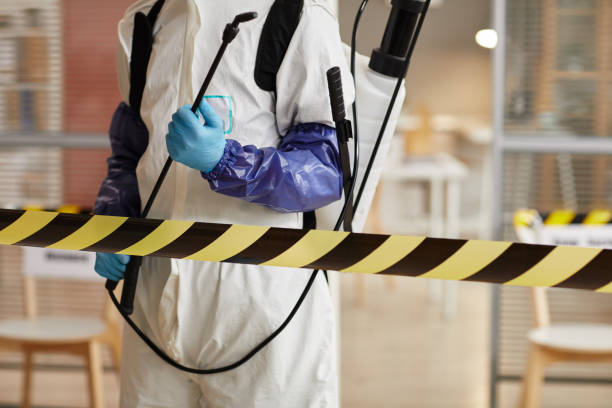 Professional Hoarding Cleanup technician working in Elwood, UT